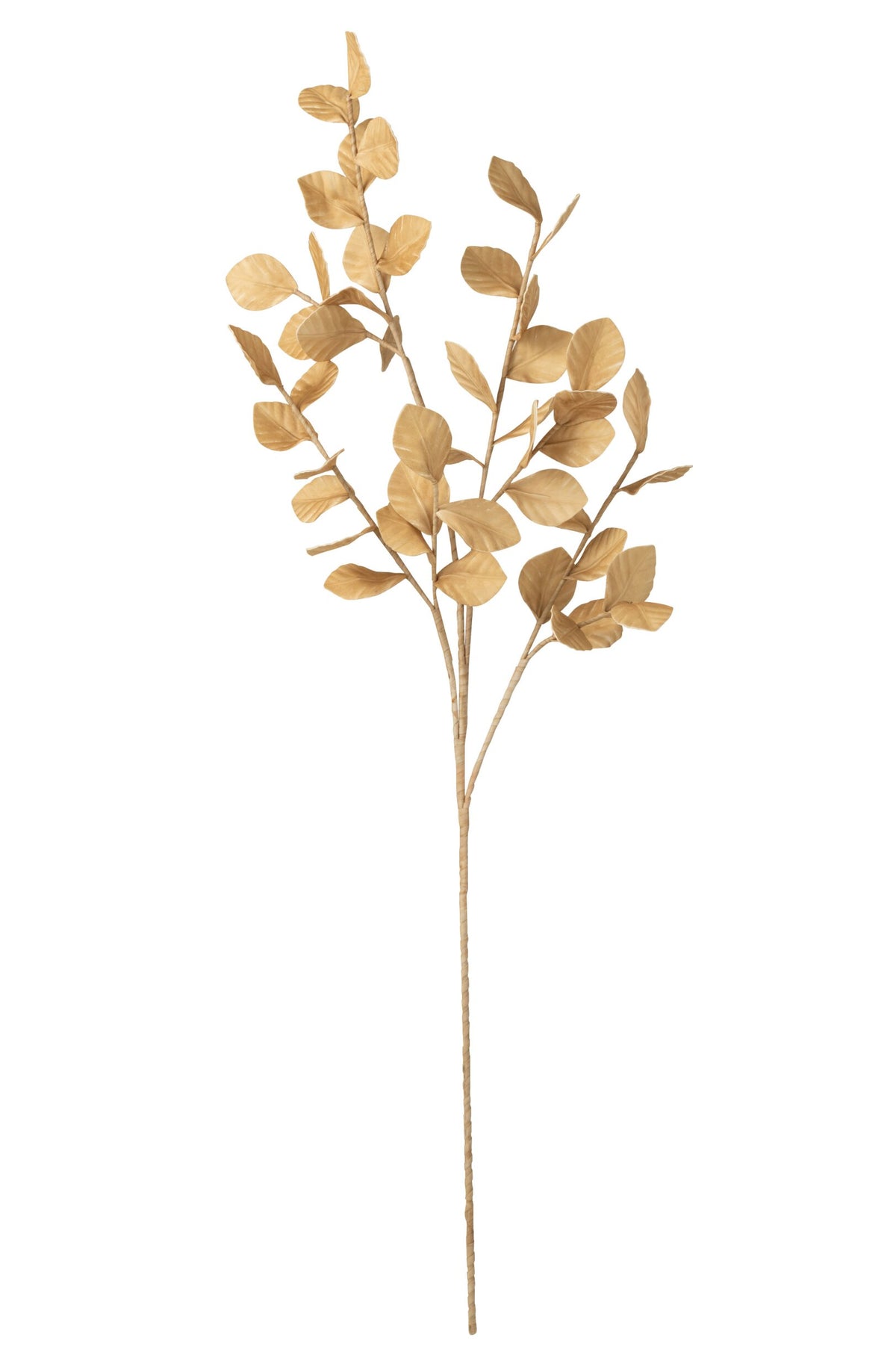 Branche feuillage jaune maïs